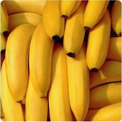 Banana Ripening Chambers